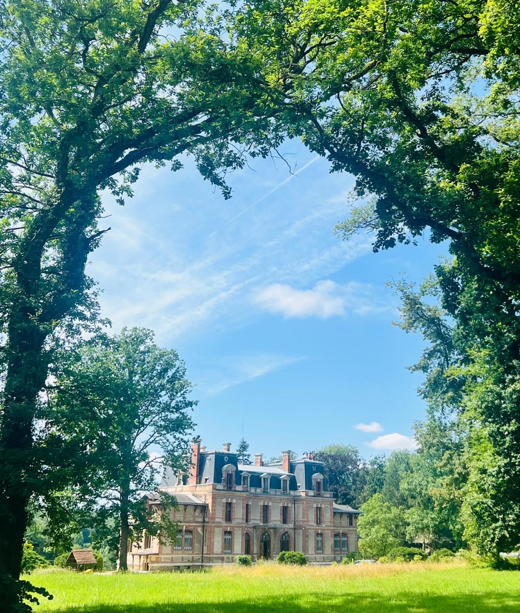 Chateau De Crenille Chaumes-en-Brie Exterior foto